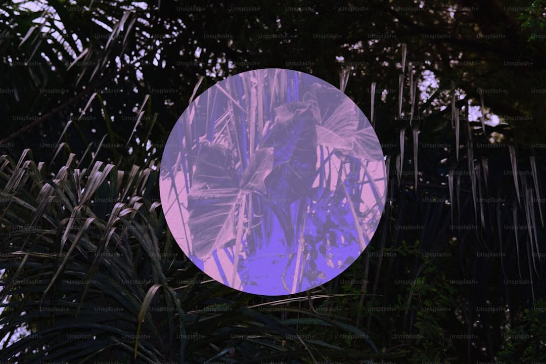 诏安梅岭：七夕献血传递爱 志愿服务暖人心